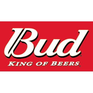 Fust Bud 20 liter